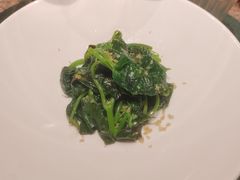 -觀芷隐轩