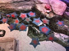 -沈阳海洋探索中心