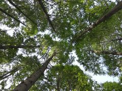 -桤木河湿地公园