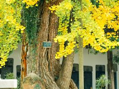 -苏州碑刻博物馆