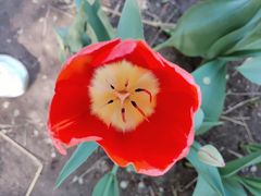 -长春公园(普阳街道)