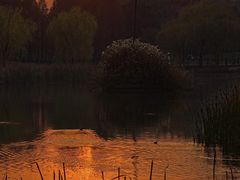 -贡湖湾湿地公园