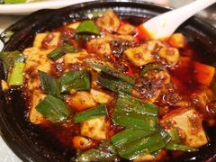 -陈麻婆豆腐总店