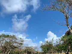 -日军最后司令部遗址