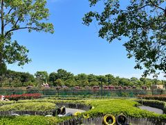 -季高兔窝窝亲子园(上海薰衣草公园店)