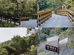-阳台山森林公园