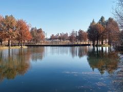 -贡湖湾湿地公园