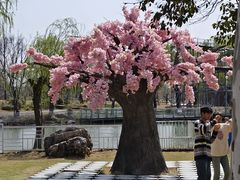 -祥源·阜阳生态乐园