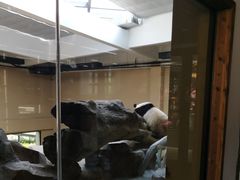 -宁波野生动物园