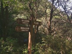 -阳台山自然风景区