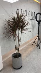 -CUT CUT Hair Salon