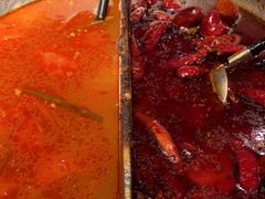 -湊湊火锅·茶憩(新中关购物中心店)