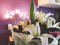 -BRAVO 赞·美艺术中心·系统美术·书法·艺考(双井校区)