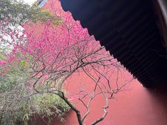 -钱王祠