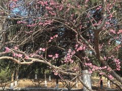 -白塘生态植物园