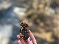 -峡谷浮石林景区