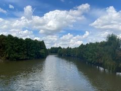 -上海海湾国家森林公园