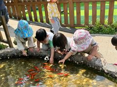 -蒙蒙狮蒙台梭利儿童之家