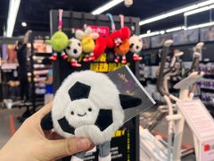 -迪卡侬(西三旗店)