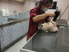 -FAELING PETS美天灵宠物(富力广场店)