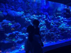 -太平洋海底世界