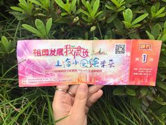 -中国福利会少年宫