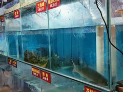 水产区-鲜椒鱼·雅安地标性美食