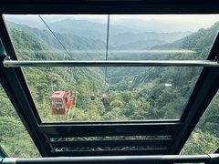 -王顺山国家森林公园