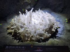 -正佳自然科学博物馆
