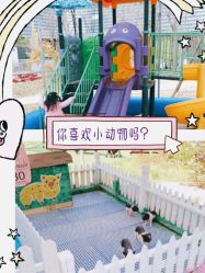 -萌宠亲子动物乐园(槐房万达店)