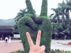 -呀诺达热带雨林