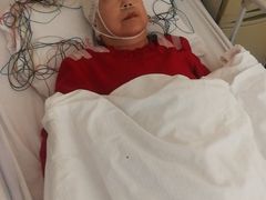 虾仁烧茄子-苏闽菜馆(鞍山道店)