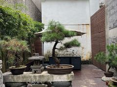 -觀芷隐轩