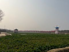 -武汉紫薇都市田园