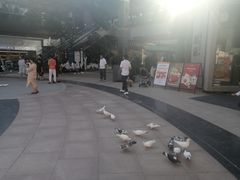 -中粮·祥云小镇