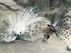 -南昌动物园