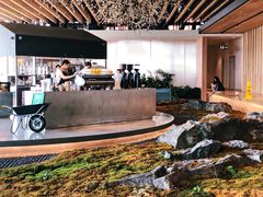 -Seesaw Coffee(朝阳大悦城店)