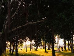 -深圳湾公园(南山区)