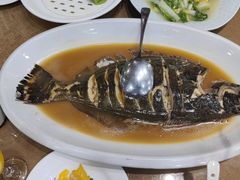 -良友·海鲜青岛菜(五四广场店)