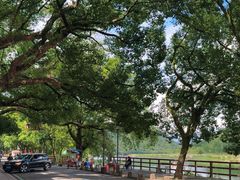 -楠溪江风景名胜区