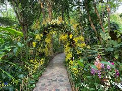 -中国科学院西双版纳热带植物园