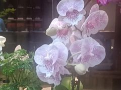 -王府茶楼茶宴·创意菜(朝阳公园店)