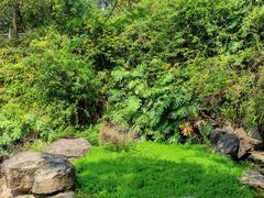 -水濂山森林公园