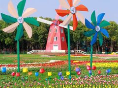 -洛阳郁金香牡丹园