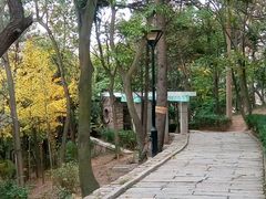 -观象山公园