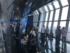 -上海环球金融中心云端足球盛典