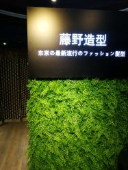 -藤野造型
