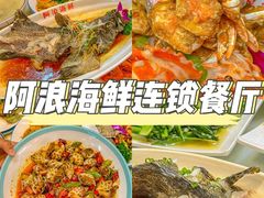 -亚龙湾热带天堂森林公园
