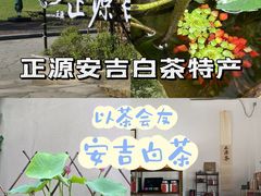 -正源安吉白茶特产享购商场(安吉店)