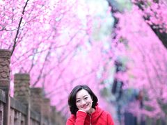 -望江楼公园